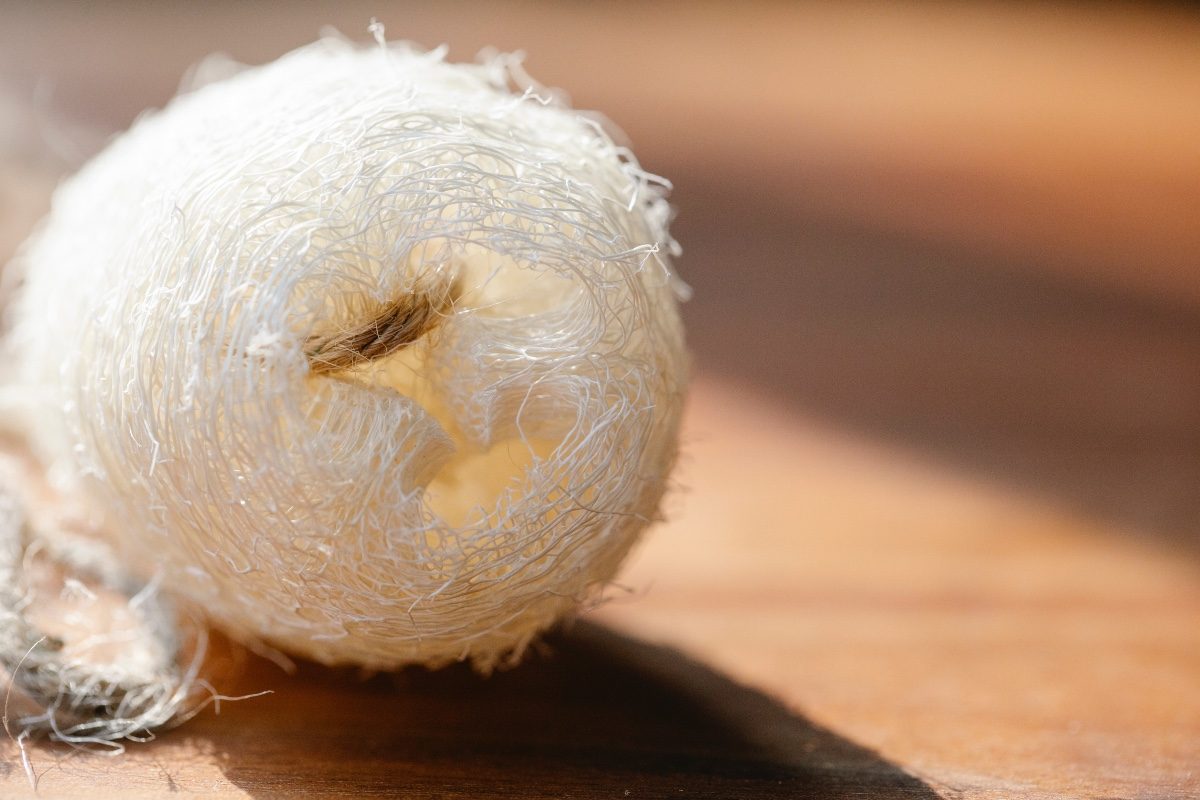 a shower loofa on a wooden floor