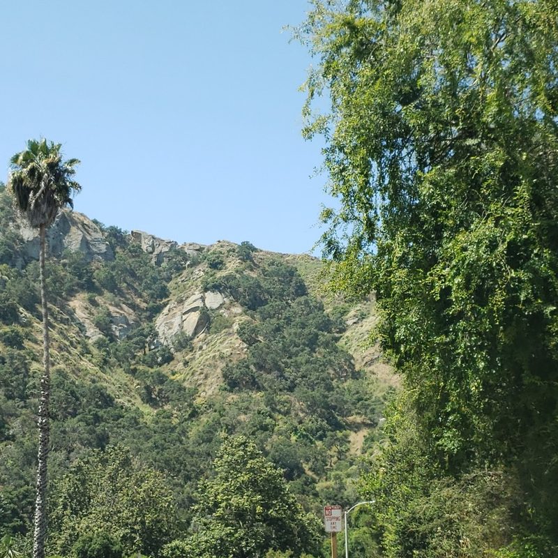 A look at Aliso and Wood Canyons Regional Park in Laguna Beach, California.