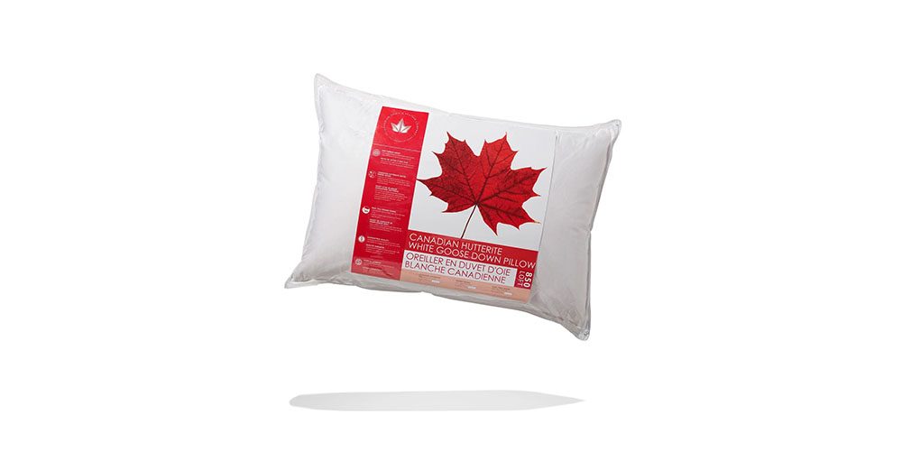 Down Perfect Pillow on a white background.