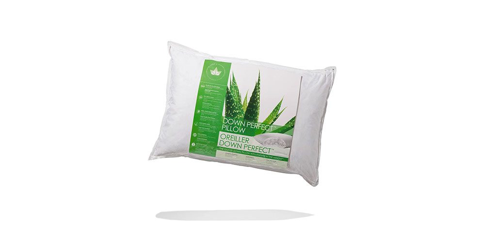 Down Perfect Pillow on a white background