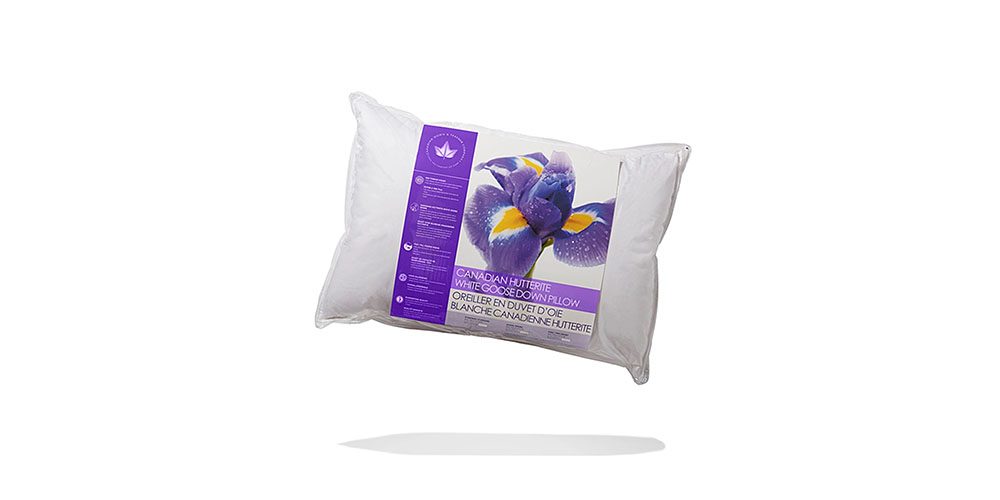 Hutterite White Goose Down Pillow on a white background.