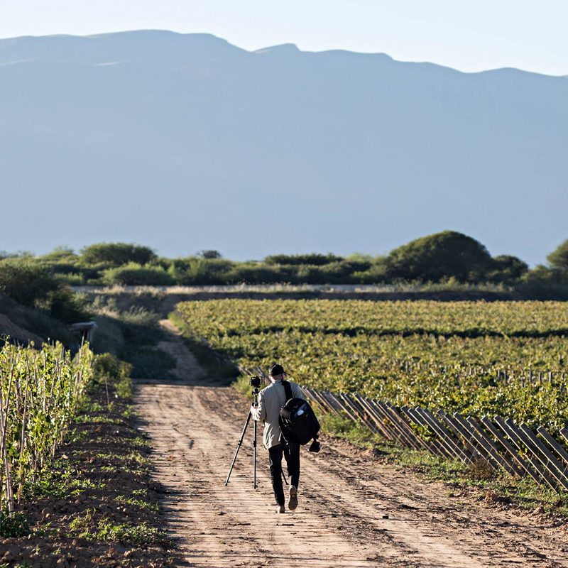 Steven Soderbergh in the vineyards of Bolivia.