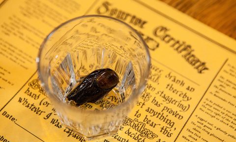 unusual and unique cocktails sourtoe cocktail