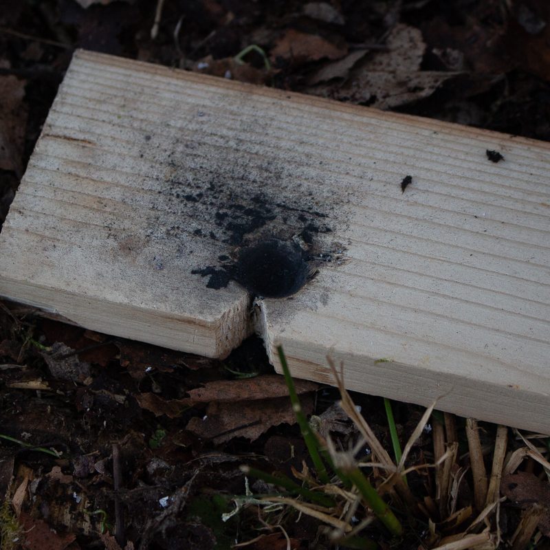 how to make a friction fire bow drill img 8066