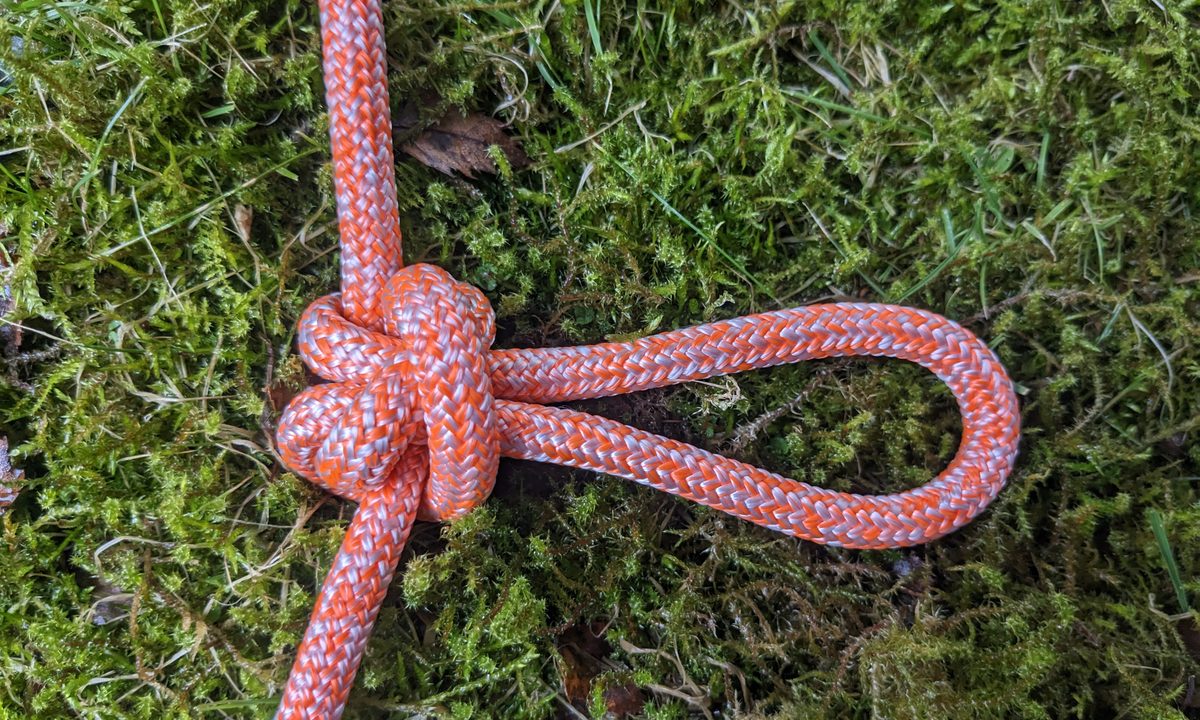 Alpine butterfly knot