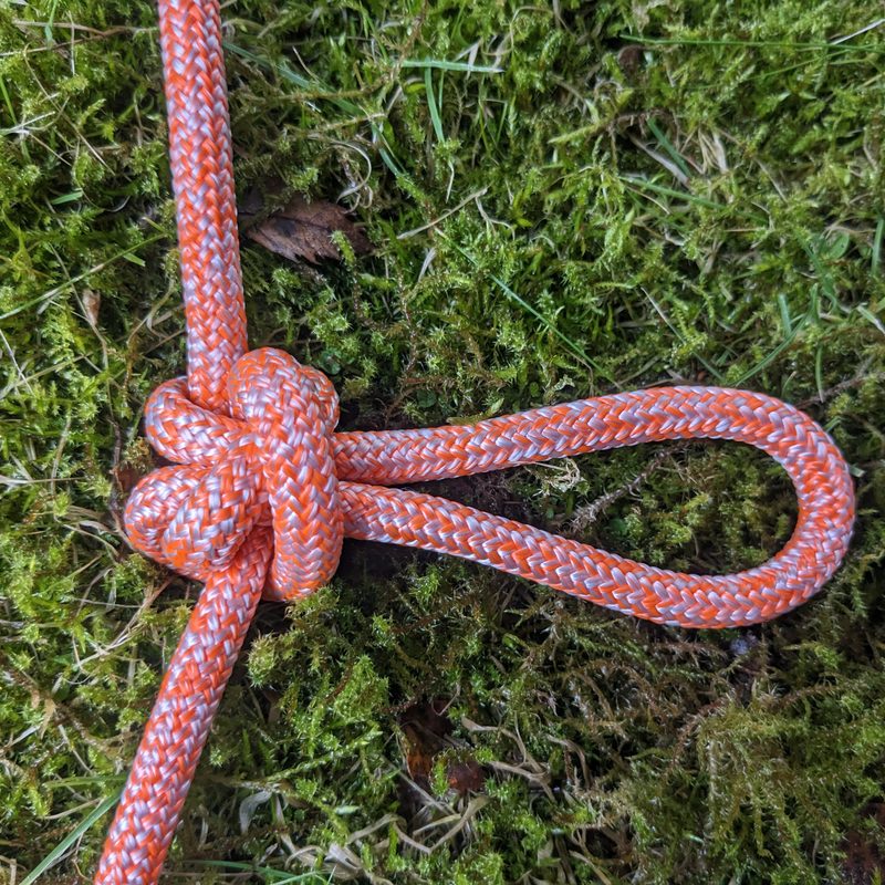 Alpine butterfly knot