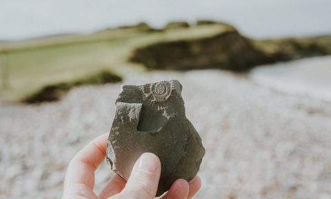 A person holding up a rock with an impression in it
