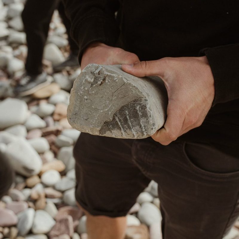 A person holding up a rock that has a fossil imprint on it