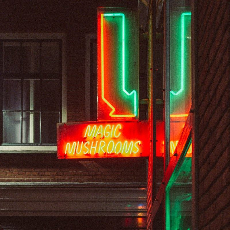 A neon sign outside a psychedelic mushroom shop.