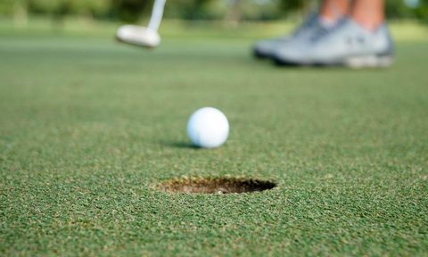Someone about to sink a shot while golfing.