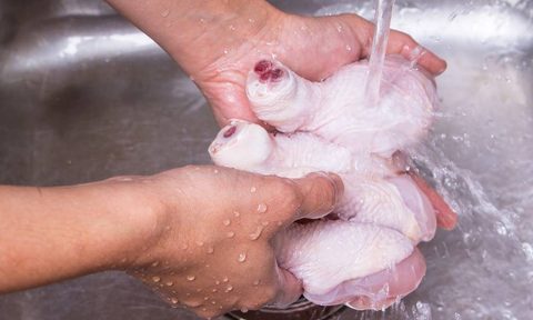 Rinsing chicken in sink