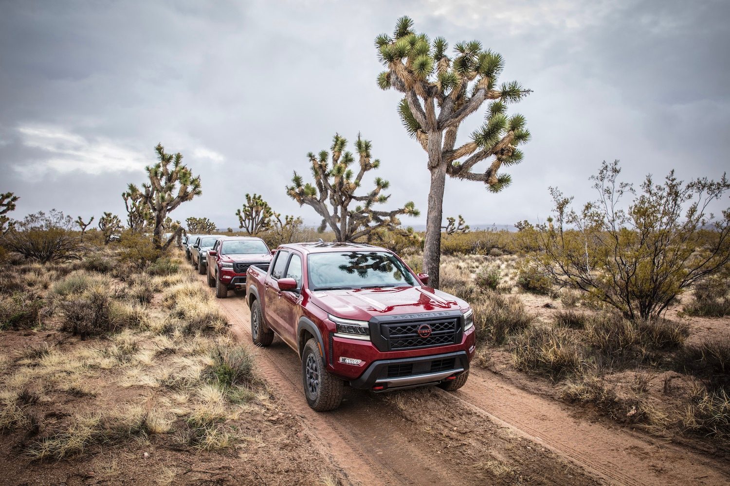 Front end of 2022 Nissan Frontier Pro-4X off-roading on a dirt trail with Joshua trees in the back.