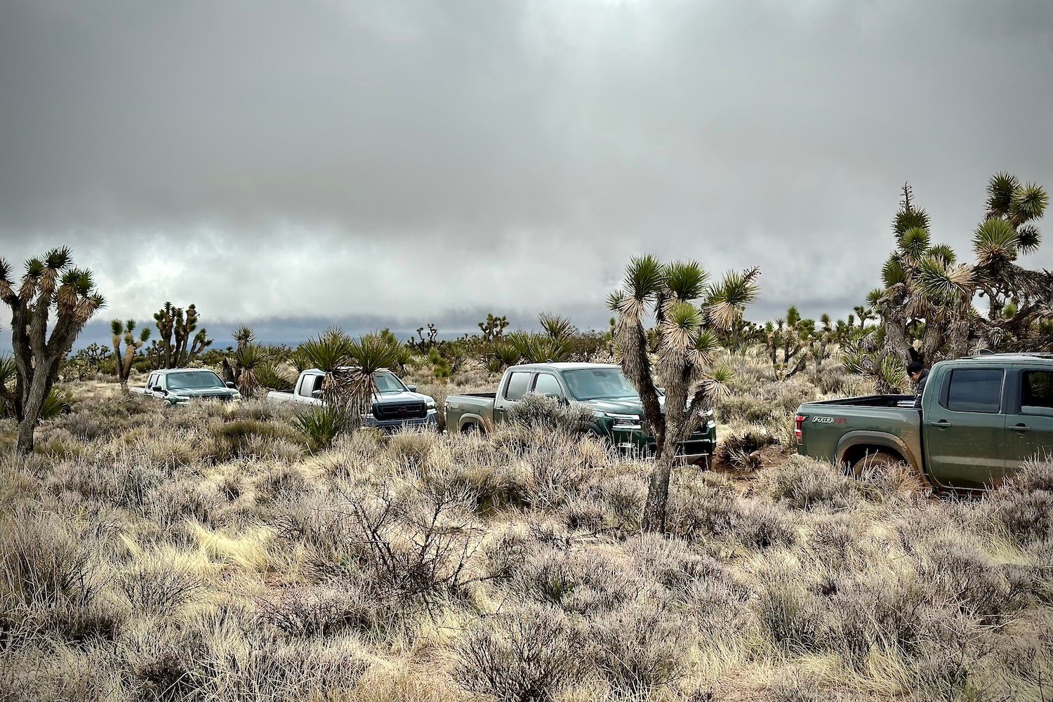 Side profile of the 2022 Nissan Frontier Pro-4X parked in a line on a dirt trail in the middle of the desert.