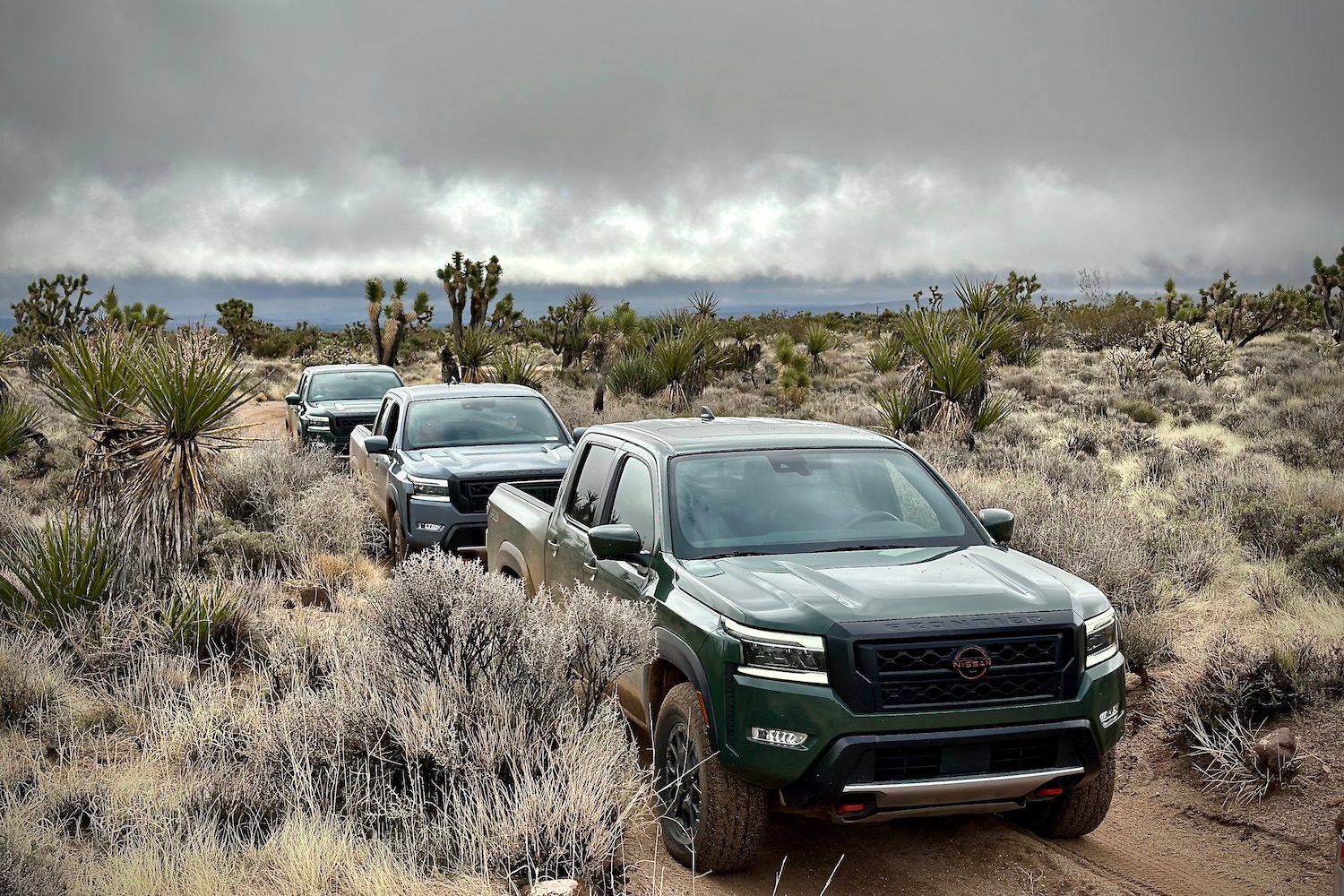 2022 Nissan Frontier Pro-4X front end on a tight dirt trail with bushes and trees in the back.