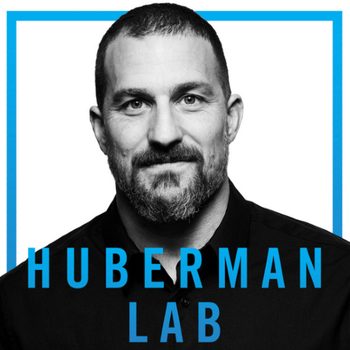 Huberman Lab podcast.