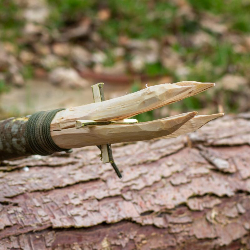 A survival spear with four prongs