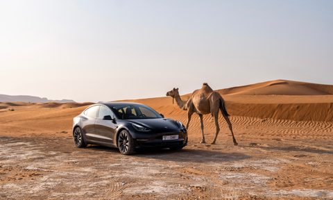 Tesla Model 3 parked in a desert in front of sand dunes next to a camel.