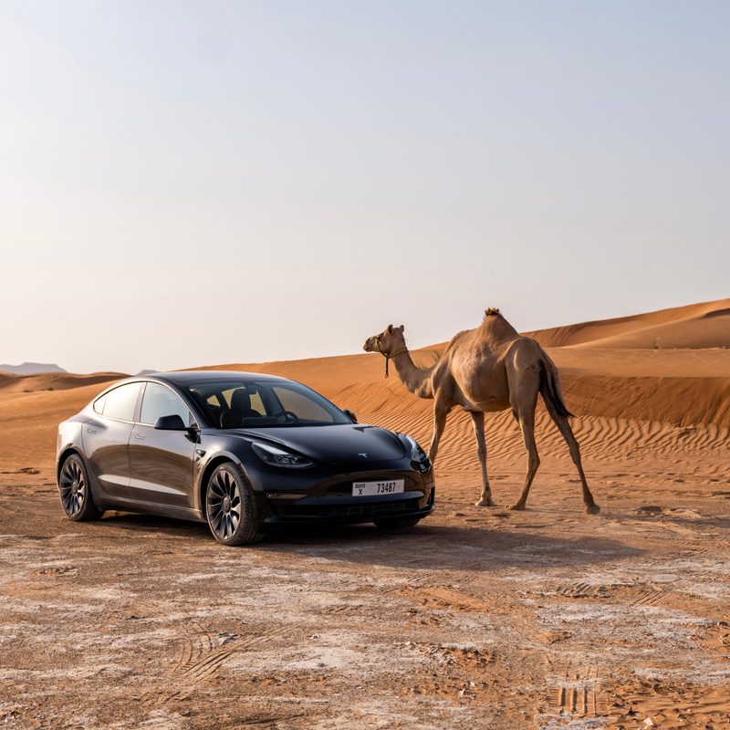 Tesla Model 3 parked in a desert in front of sand dunes next to a camel.