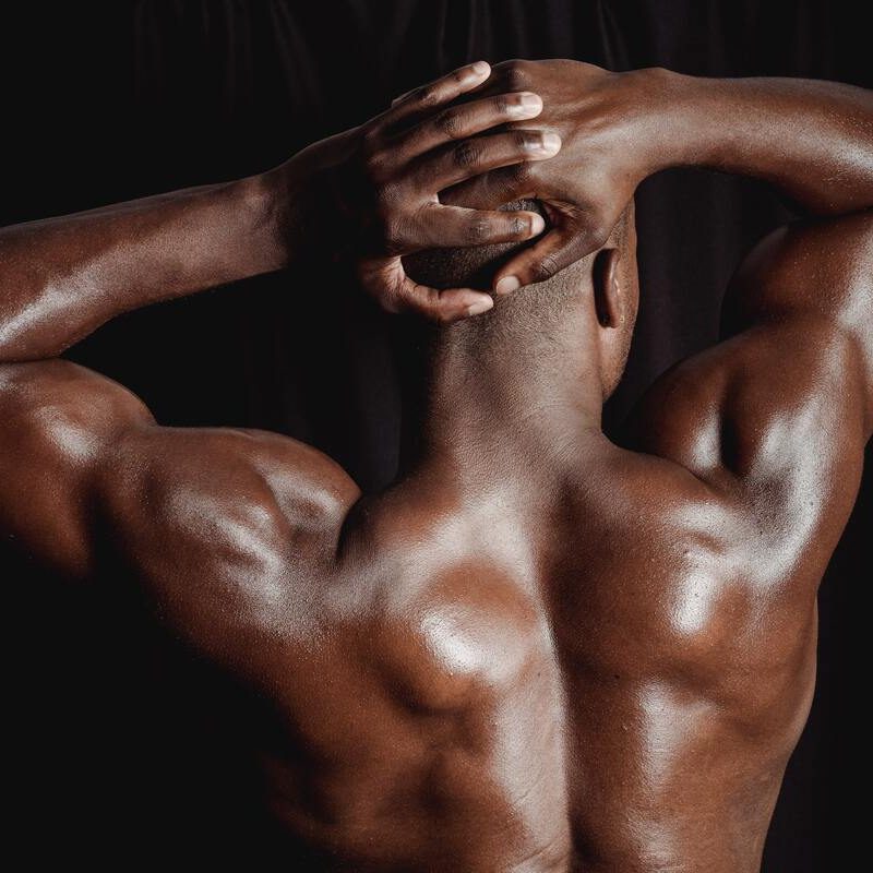 Back muscles.