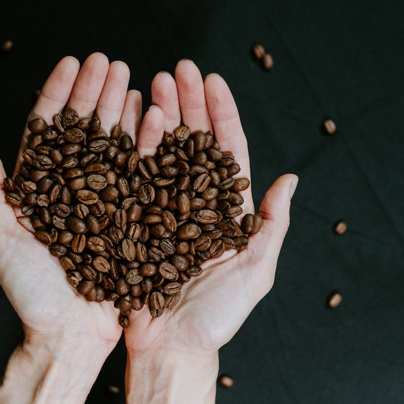 Two hands together holding a bunch of whole coffee beans.