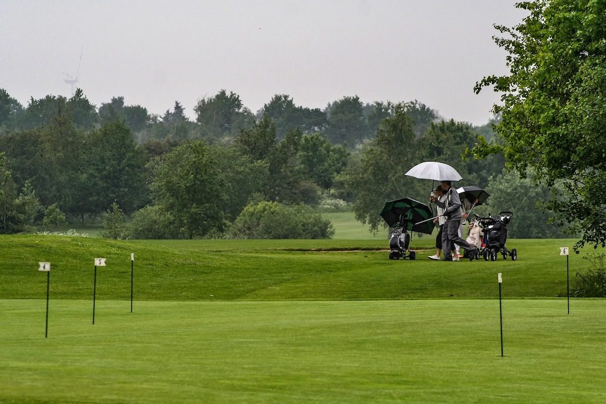 people with golf umbrellas