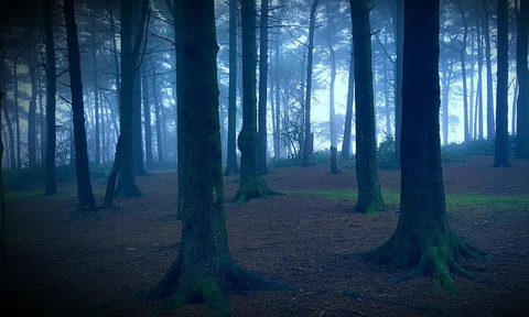 A Haunted, scary trail