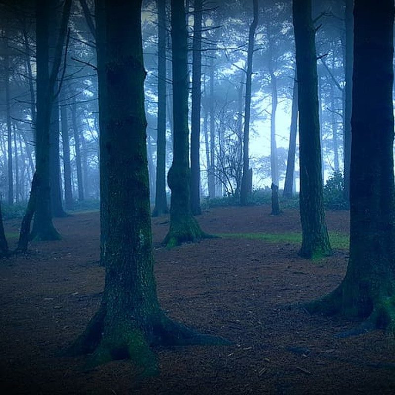 Haunted, scary trail
