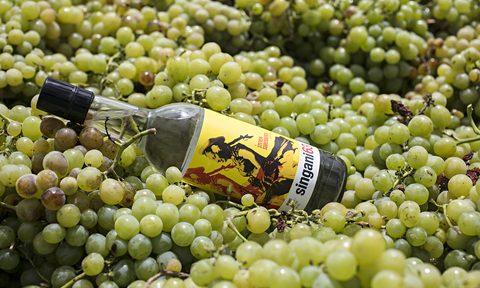 A bottle of Singani 63 in wine grapes.