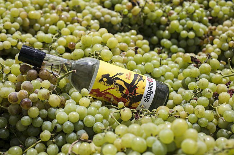 A bottle of Singani 63 in wine grapes.