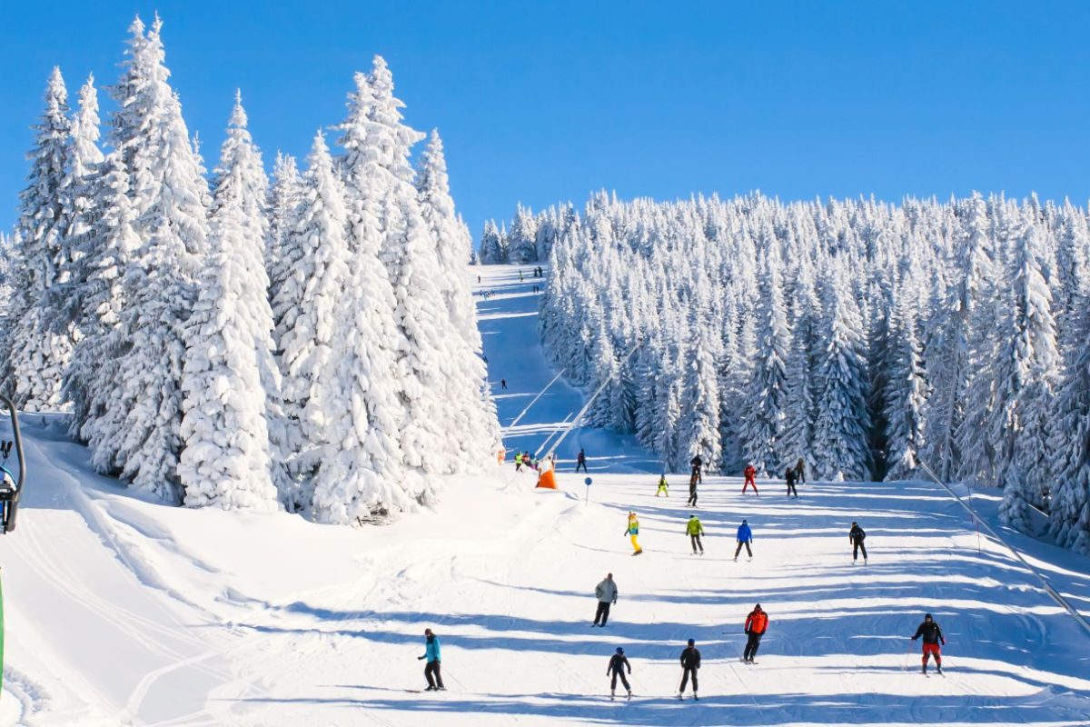 Skiers and snowboarders ride a trail