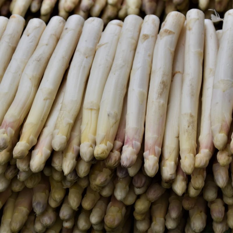 White asparagus