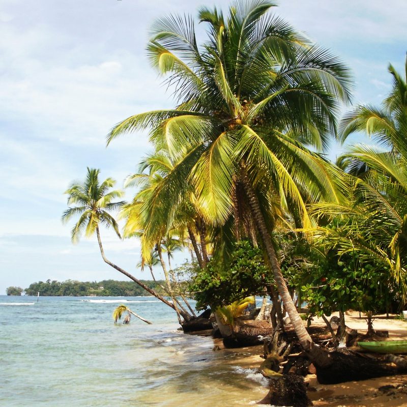 A look at the beach at Paunch, Bocas del Toro, Panama.