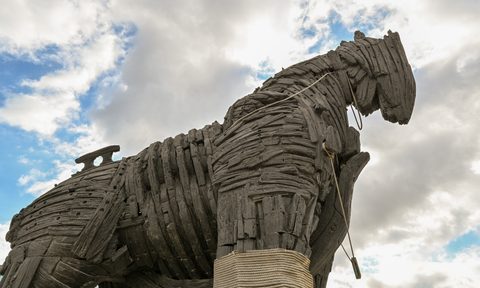 The Trojan Horse.