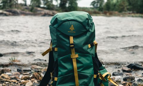 One green backpack on a brown wooden log in the woods.