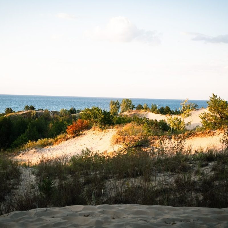 The Indiana Dunes in Chesterton, Indiana.