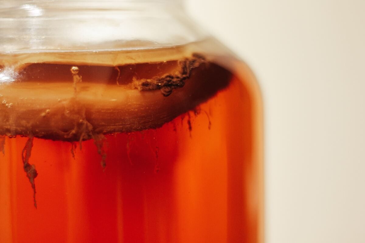 Brewing kombucha