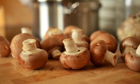 Mushrooms on a table
