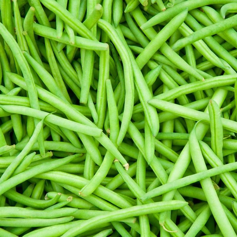 plate of fresh green beans