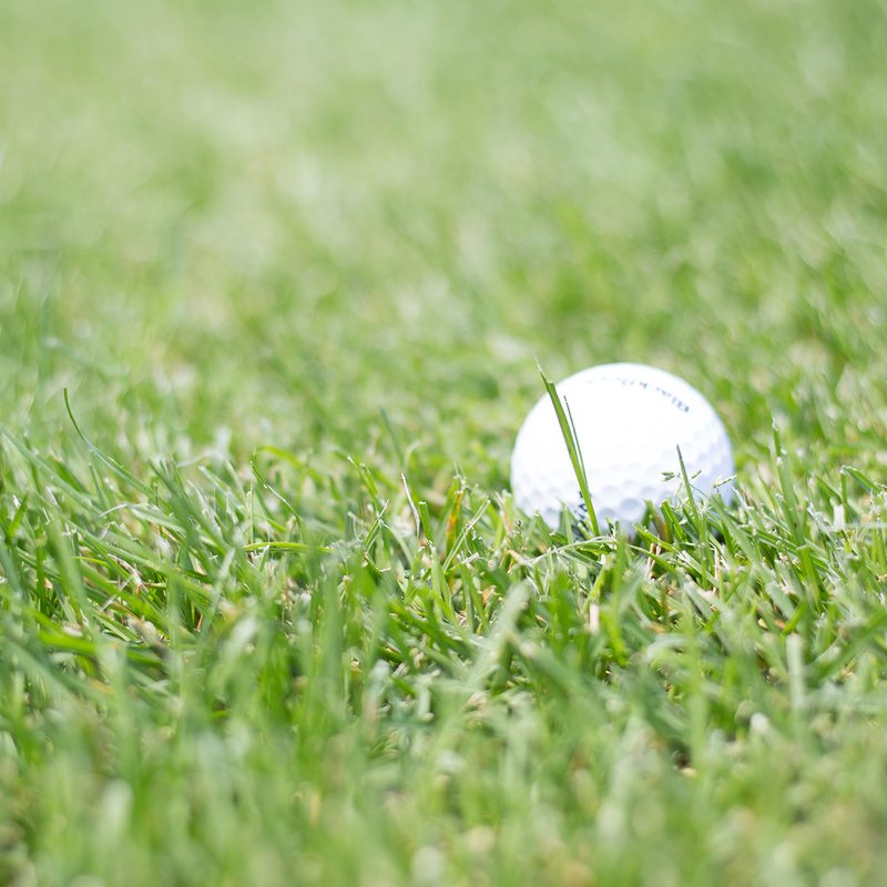 A golf ball sitting in grass.