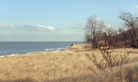 A view of the Indiana National Dunes Park.