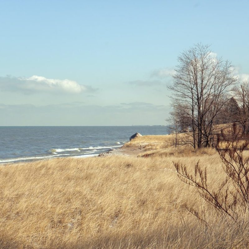 A view of the Indiana National Dunes Park.