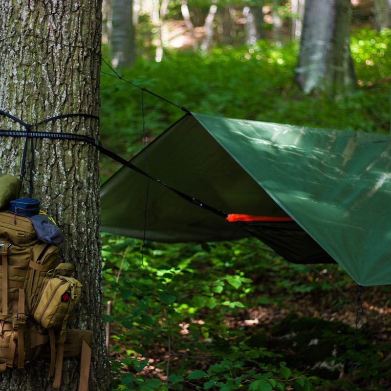 A bag hangs from a tree next to a tarp shelter in the woods.