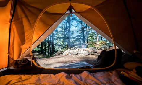 A view from the inside of a tent looking out on a campground.