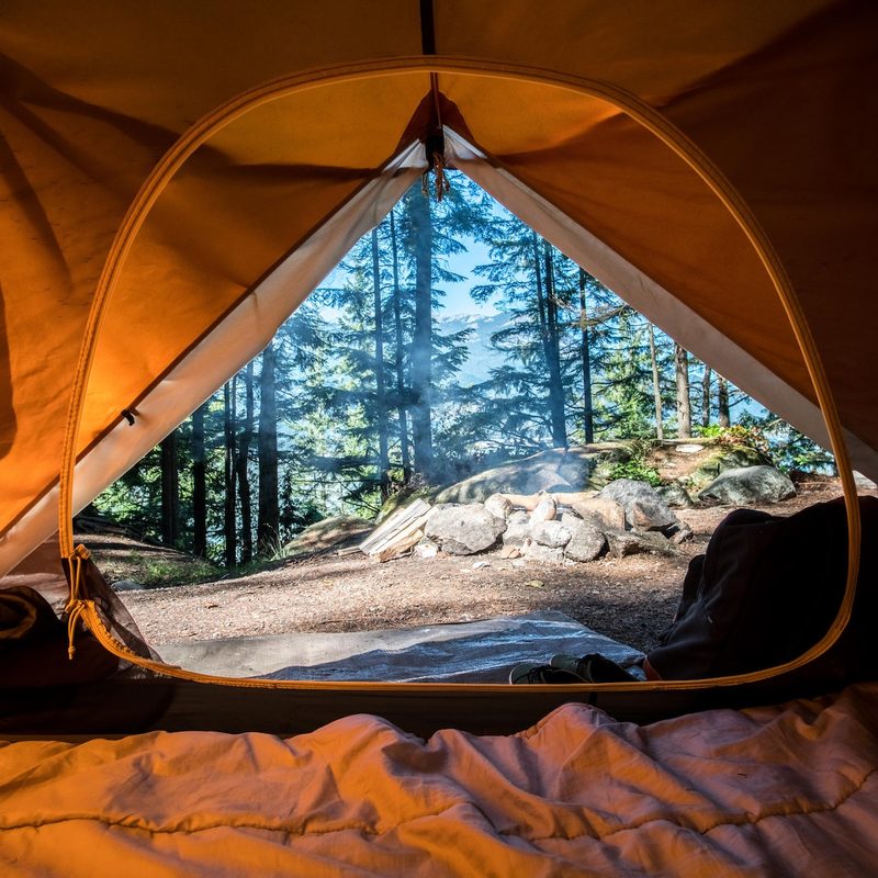 A view from the inside of a tent looking out on a campground.