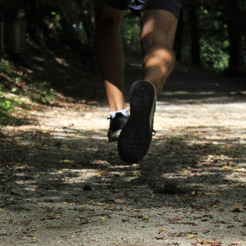Trail running through a forest.