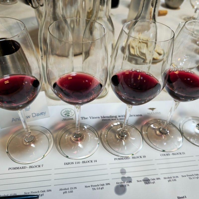 A scene from The Vines Global's May 2023 trip to the Willamette Valley in Oregon.