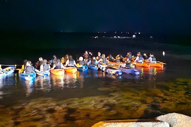 A group of kayaks in the water.