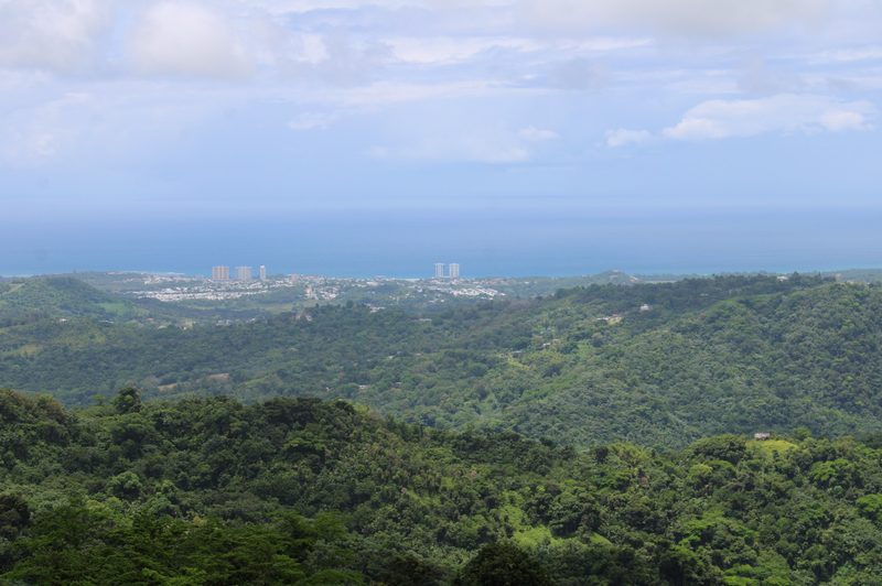 A look at El Yunque National Forest in Puerto Rico.