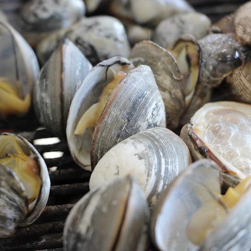 Clams on a grill