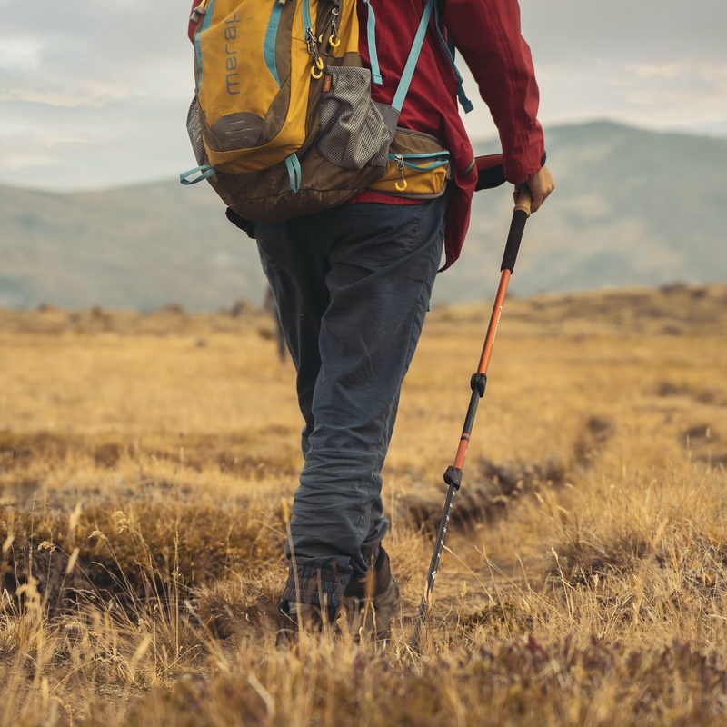 A man walks through a field using walking poles.